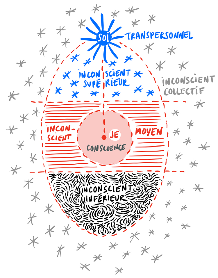 le diagramme de l'oeuf